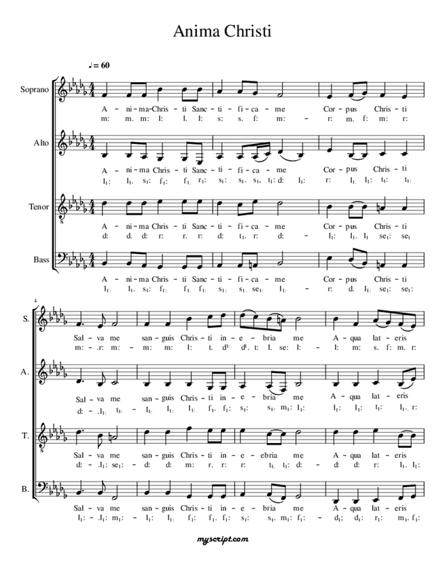 script preview