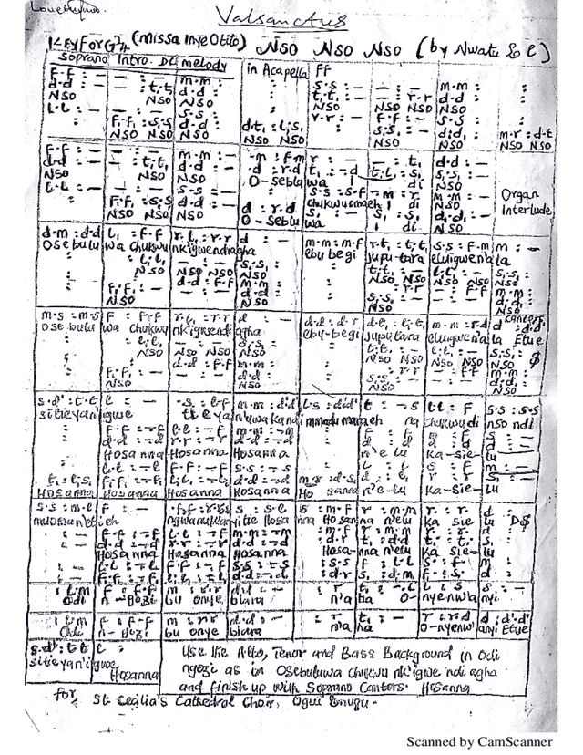 script preview