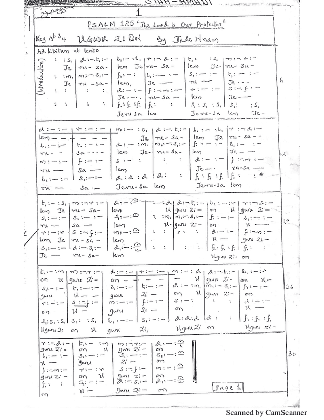 script preview